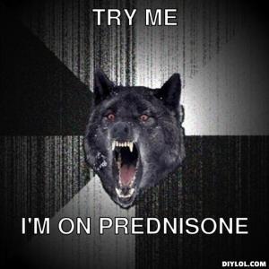 Prednisone wolf